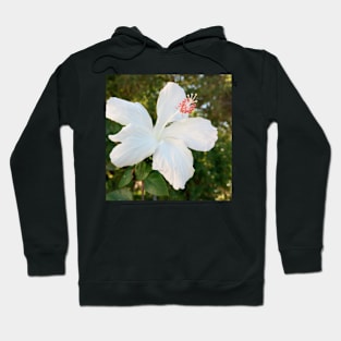 White Hibiscus Hoodie